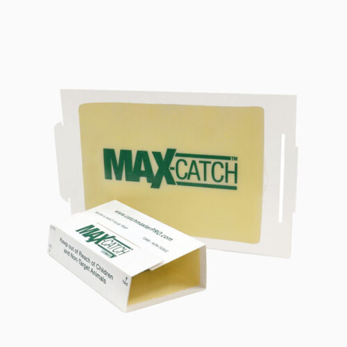 72MAX-1-CATCHMASTER Χάρτινη παγίδα με κόλλα για ποντίκια. Με μεγάλη κολλητική επιφάνεια (76τ.εκ.) και πολύ δυνατή κόλλα.