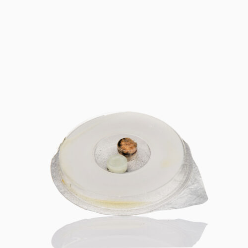 MULTI-BEETLE-TRAP-REFILL Ανταλλακτικό για την πολυπαγίδα φερομόνης για όλα τα έρποντα έντομα Tribolium, Trogoderma, κλπ.