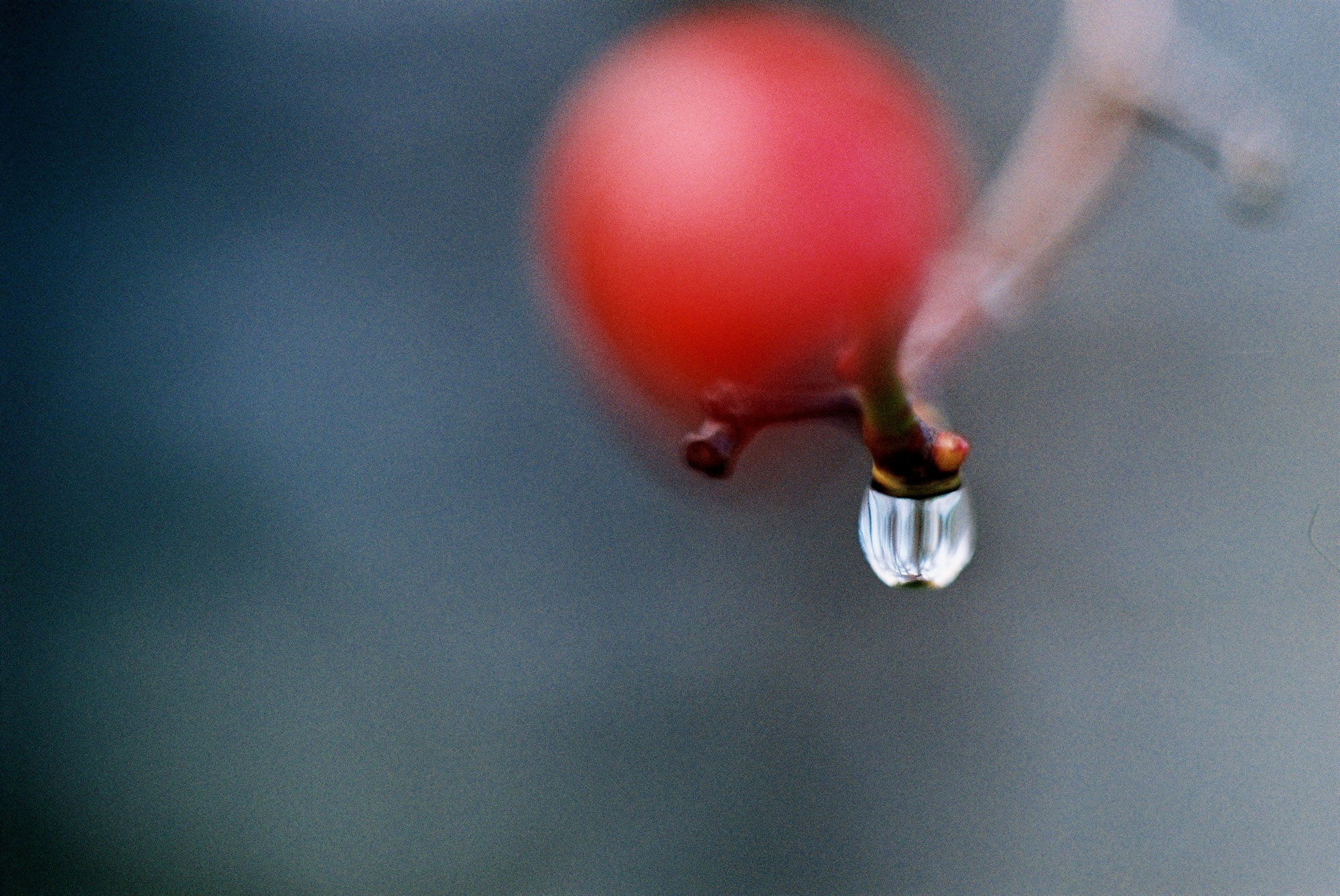 Ηλεκτρικές Παγίδες