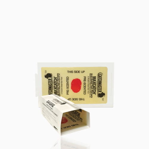 24GRB GIANT ΚΟΛΛΗΤΙΚΗ ΕΠΙΦΑΝΕΙΑ