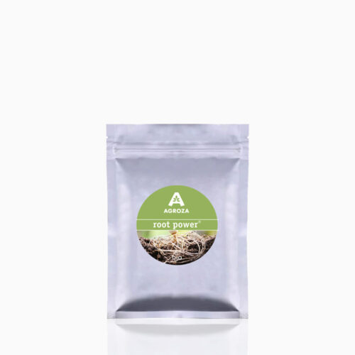 Root Power (Μυκόρριζες)