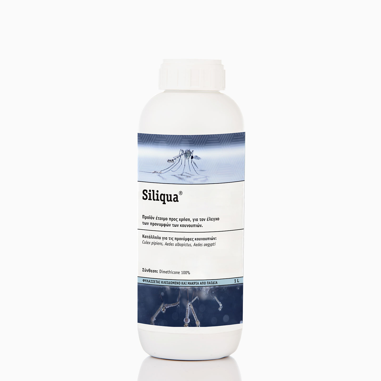 Siliqua - Image 3